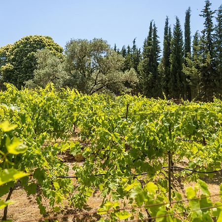 Gullu Konaklari Selçuk Exterior foto